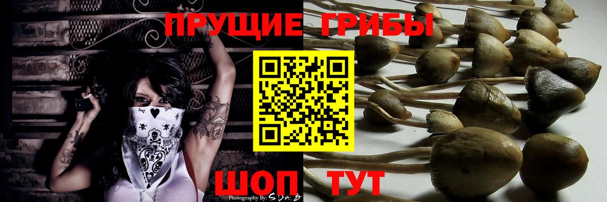 Мурманск  Псилоцибиновые грибы MAGIC MUSHROOMS  Вход с VPN 